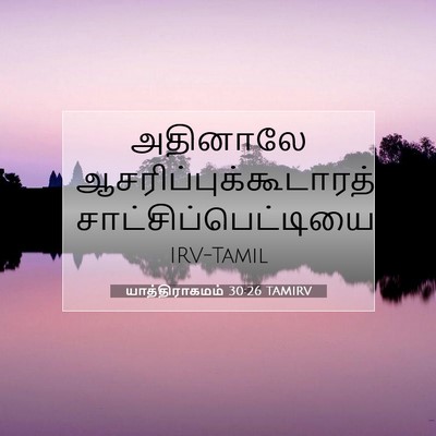 Picture 07 - யாத்திராகமம் 30:26 TAMIRV - அதினாலே - Bible Verse Picture