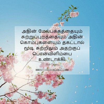 Picture 07 - யாத்திராகமம் 30:3 TAMIRV - அதின் - Bible Verse Picture