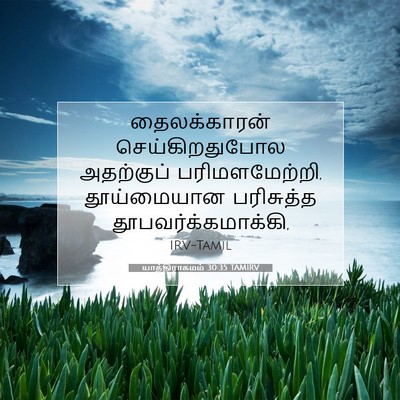 Picture 07 - யாத்திராகமம் 30:35 TAMIRV - தைலக்காரன் - Bible Verse Picture