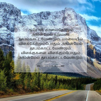 Picture 07 - யாத்திராகமம் 30:7 TAMIRV - ஆரோன் காலைதோறும் - Bible Verse Picture