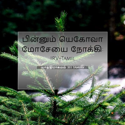 Picture 07 - யாத்திராகமம் 31:1 TAMIRV - பின்னும் யெகோவா - Bible Verse Picture