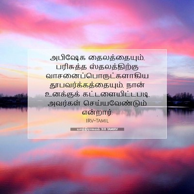 Picture 07 - யாத்திராகமம் 31:11 TAMIRV - அபிஷேக - Bible Verse Picture
