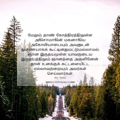 Picture 07 - யாத்திராகமம் 31:6 TAMIRV - மேலும், தாண் - Bible Verse Picture