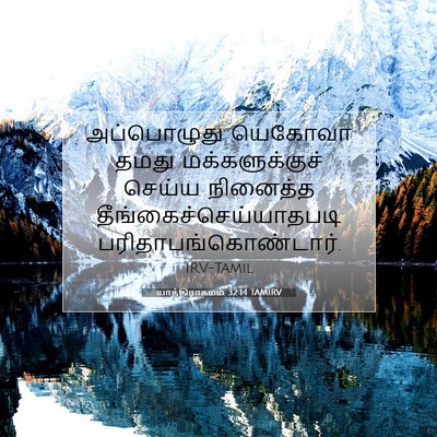 Picture 07 - யாத்திராகமம் 32:14 TAMIRV - அப்பொழுது யெகோவா - Bible Verse Picture