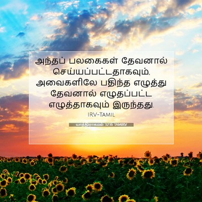 Picture 07 - யாத்திராகமம் 32:16 TAMIRV - அந்தப் பலகைகள் - Bible Verse Picture