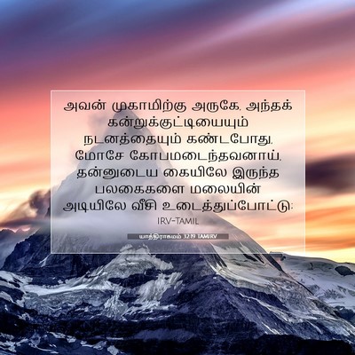 Picture 07 - யாத்திராகமம் 32:19 TAMIRV - அவன் முகாமிற்கு - Bible Verse Picture