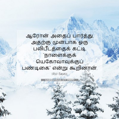 Picture 07 - யாத்திராகமம் 32:5 TAMIRV - ஆரோன் அதைப் - Bible Verse Picture