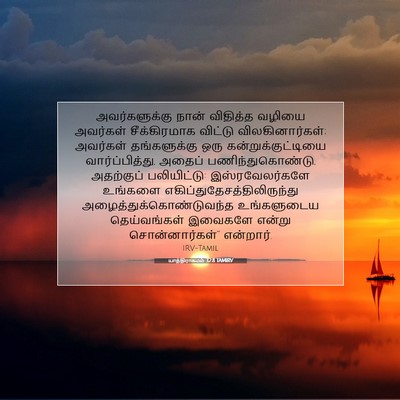 Picture 07 - யாத்திராகமம் 32:8 TAMIRV - அவர்களுக்கு நான் - Bible Verse Picture
