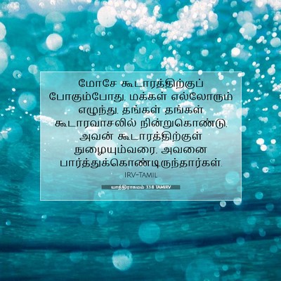 Picture 07 - யாத்திராகமம் 33:8 TAMIRV - மோசே - Bible Verse Picture