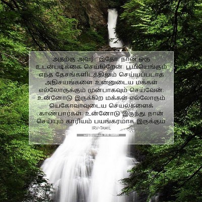 Picture 07 - யாத்திராகமம் 34:10 TAMIRV - அதற்கு அவர்: “இதோ, - Bible Verse Picture