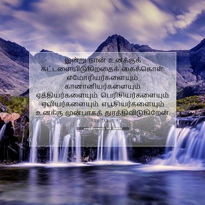 Picture 07 - யாத்திராகமம் 34:11 TAMIRV - இன்று நான் - Bible Verse Picture