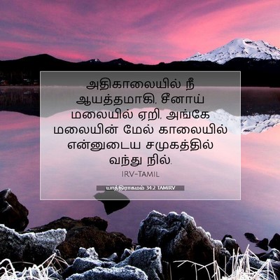 Picture 07 - யாத்திராகமம் 34:2 TAMIRV - அதிகாலையில் நீ - Bible Verse Picture