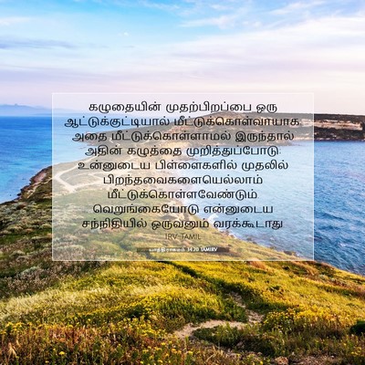 Picture 07 - யாத்திராகமம் 34:20 TAMIRV - கழுதையின் - Bible Verse Picture