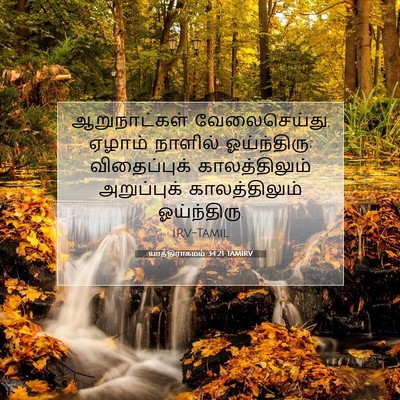 Picture 07 - யாத்திராகமம் 34:21 TAMIRV - ஆறுநாட்கள் - Bible Verse Picture