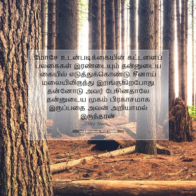 Picture 07 - யாத்திராகமம் 34:29 TAMIRV - மோசே - Bible Verse Picture