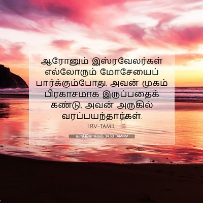 Picture 07 - யாத்திராகமம் 34:30 TAMIRV - ஆரோனும் - Bible Verse Picture