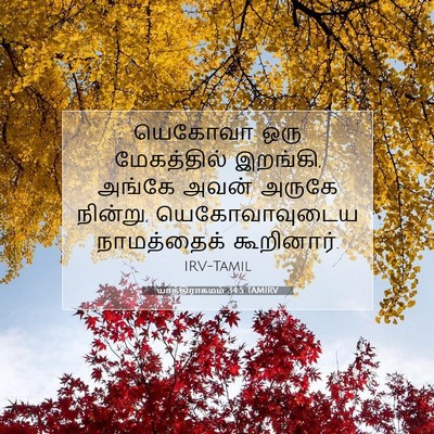 Picture 07 - யாத்திராகமம் 34:5 TAMIRV - யெகோவா ஒரு - Bible Verse Picture