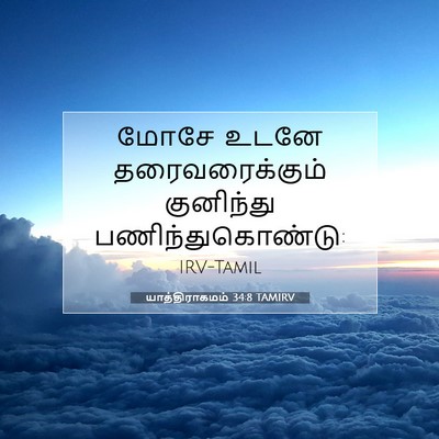 Picture 07 - யாத்திராகமம் 34:8 TAMIRV - மோசே உடனே - Bible Verse Picture