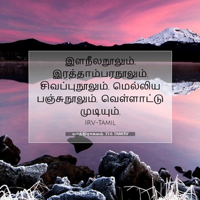 Picture 07 - யாத்திராகமம் 35:6 TAMIRV - இளநீலநூலும், - Bible Verse Picture