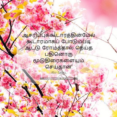 Picture 07 - யாத்திராகமம் 36:14 TAMIRV -  - Bible Verse Picture