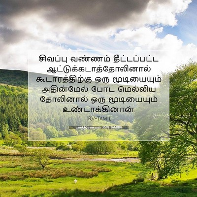 Picture 07 - யாத்திராகமம் 36:19 TAMIRV - சிவப்பு வண்ணம் - Bible Verse Picture