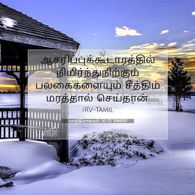 Picture 07 - யாத்திராகமம் 36:20 TAMIRV -  - Bible Verse Picture