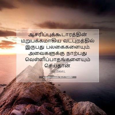 Picture 07 - யாத்திராகமம் 36:25 TAMIRV -  - Bible Verse Picture