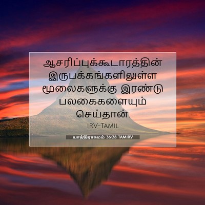 Picture 07 - யாத்திராகமம் 36:28 TAMIRV -  - Bible Verse Picture