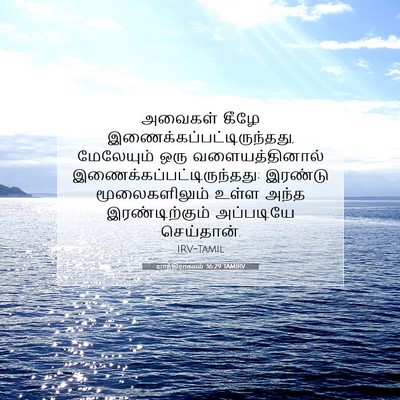 Picture 07 - யாத்திராகமம் 36:29 TAMIRV - அவைகள் கீழே - Bible Verse Picture