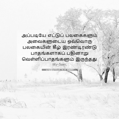 Picture 07 - யாத்திராகமம் 36:30 TAMIRV - அப்படியே எட்டுப் - Bible Verse Picture