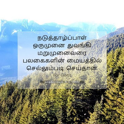 Picture 07 - யாத்திராகமம் 36:33 TAMIRV - நடுத்தாழ்ப்பாள் - Bible Verse Picture