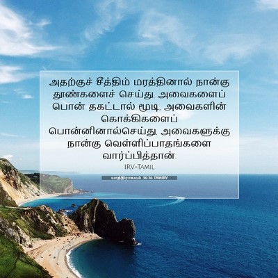 Picture 07 - யாத்திராகமம் 36:36 TAMIRV - அதற்குச் சீத்திம் - Bible Verse Picture