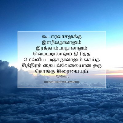 Picture 07 - யாத்திராகமம் 36:37 TAMIRV - கூடாரவாசலுக்கு - Bible Verse Picture