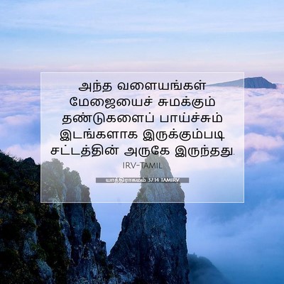 Picture 07 - யாத்திராகமம் 37:14 TAMIRV - அந்த வளையங்கள் - Bible Verse Picture