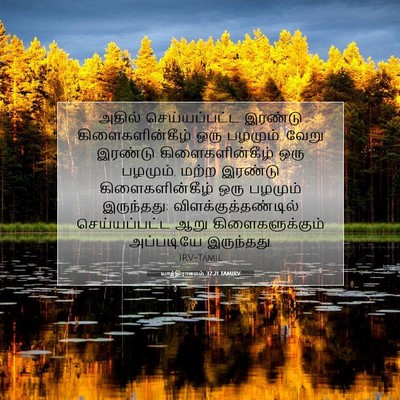 Picture 07 - யாத்திராகமம் 37:21 TAMIRV - அதில் செய்யப்பட்ட - Bible Verse Picture