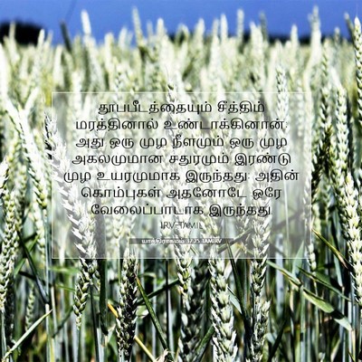 Picture 07 - யாத்திராகமம் 37:25 TAMIRV - தூபபீடத்தையும் - Bible Verse Picture