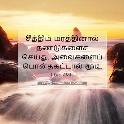 Picture 07 - யாத்திராகமம் 37:4 TAMIRV - சீத்திம் - Bible Verse Picture