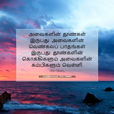 Picture 07 - யாத்திராகமம் 38:10 TAMIRV - அவைகளின் தூண்கள் - Bible Verse Picture