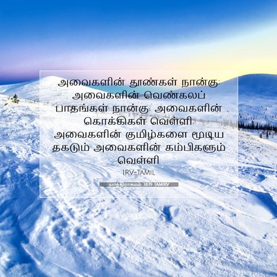 Picture 07 - யாத்திராகமம் 38:19 TAMIRV - அவைகளின் தூண்கள் - Bible Verse Picture