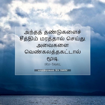 Picture 07 - யாத்திராகமம் 38:6 TAMIRV - அந்தத் தண்டுகளைச் - Bible Verse Picture