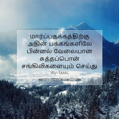 Picture 07 - யாத்திராகமம் 39:15 TAMIRV -  - Bible Verse Picture