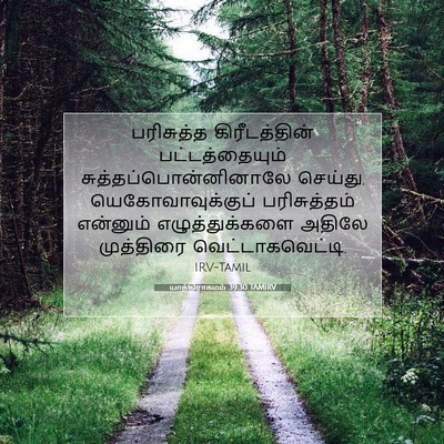 Picture 07 - யாத்திராகமம் 39:30 TAMIRV - பரிசுத்த - Bible Verse Picture