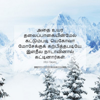 Picture 07 - யாத்திராகமம் 39:31 TAMIRV - அதை உயர - Bible Verse Picture