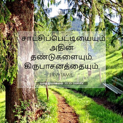 Picture 07 - யாத்திராகமம் 39:35 TAMIRV -  - Bible Verse Picture