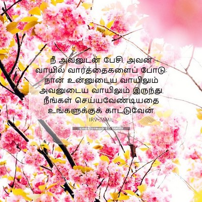 Picture 07 - யாத்திராகமம் 4:15 TAMIRV - நீ அவனுடன் பேசி, - Bible Verse Picture