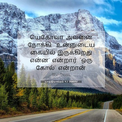 Picture 07 - யாத்திராகமம் 4:2 TAMIRV - யெகோவா அவனை - Bible Verse Picture