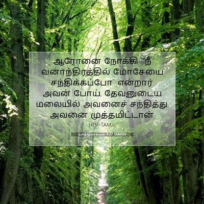 Picture 07 - யாத்திராகமம் 4:27 TAMIRV - ஆரோனை நோக்கி: “நீ - Bible Verse Picture