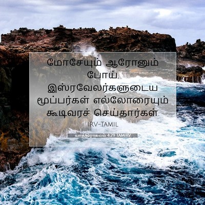 Picture 07 - யாத்திராகமம் 4:29 TAMIRV - மோசேயும் ஆரோனும் - Bible Verse Picture