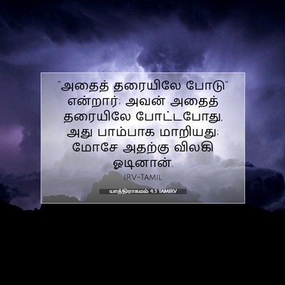 Picture 07 - யாத்திராகமம் 4:3 TAMIRV - “அதைத் தரையிலே - Bible Verse Picture