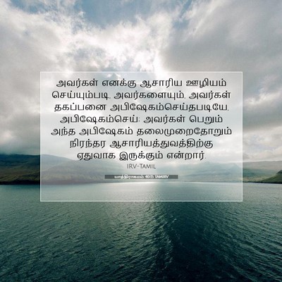 Picture 07 - யாத்திராகமம் 40:15 TAMIRV - அவர்கள் எனக்கு - Bible Verse Picture